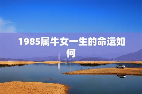 1985是什麼牛|1985年出生是什麼命？